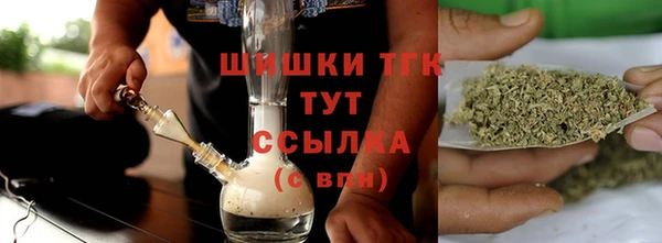 ГАЛЛЮЦИНОГЕННЫЕ ГРИБЫ Заволжье