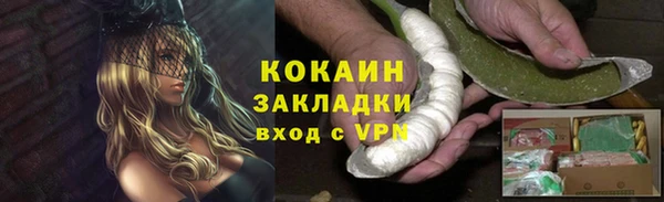 ГАЛЛЮЦИНОГЕННЫЕ ГРИБЫ Заволжье