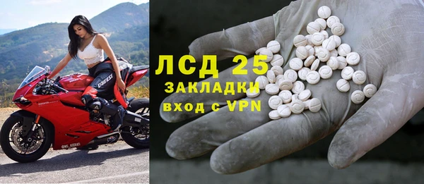 ГАЛЛЮЦИНОГЕННЫЕ ГРИБЫ Заволжье