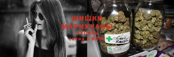 ГАЛЛЮЦИНОГЕННЫЕ ГРИБЫ Заволжье