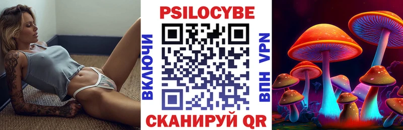 Галлюциногенные грибы Psilocybine cubensis  Знаменск 