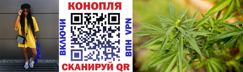Шишки марихуана марихуана  купить наркотики цена  Знаменск 